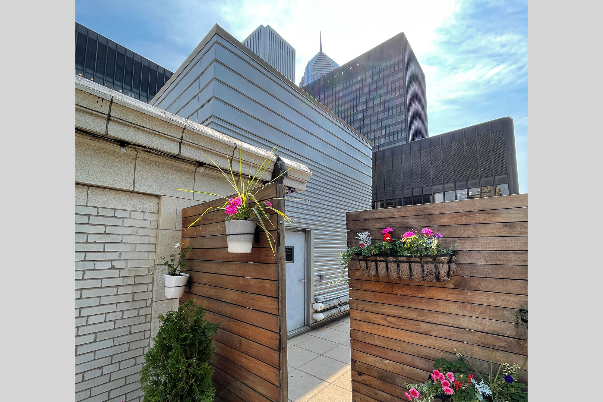 Mechanical Enclosure From Roof Terrace